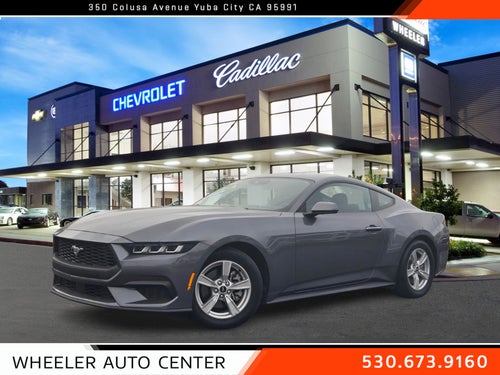 2024 Ford Mustang EcoBoost Fastback