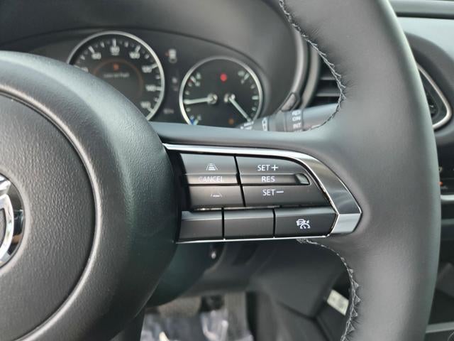 2026 Mazda Mazda CX-30 2.5 S Premium AWD