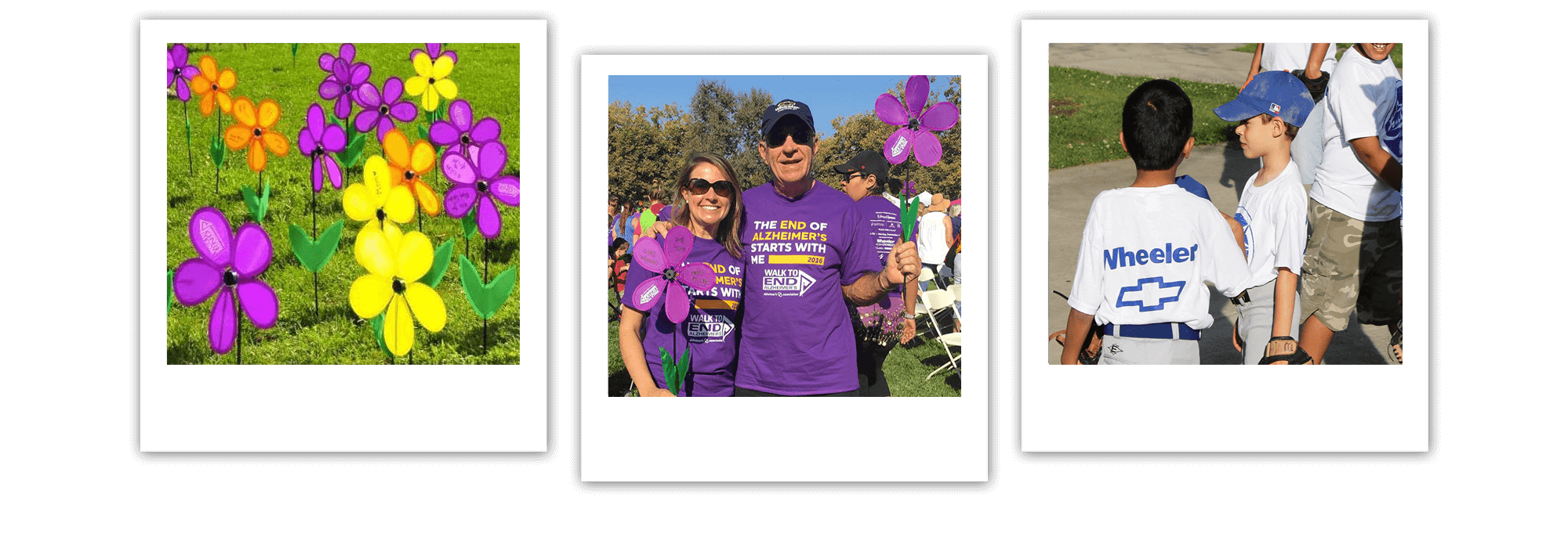 3 pictures of the community